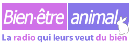 Bien être animal